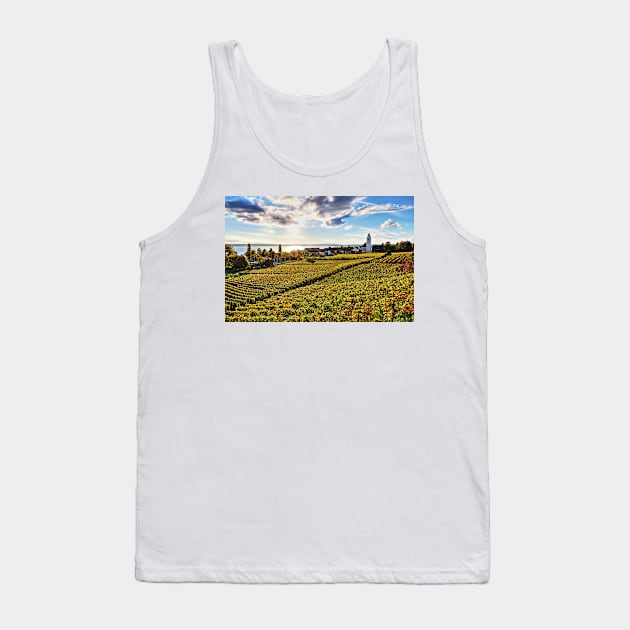 Sunset over Grape Orchards near Hagnau - Lake Constance Tank Top by holgermader